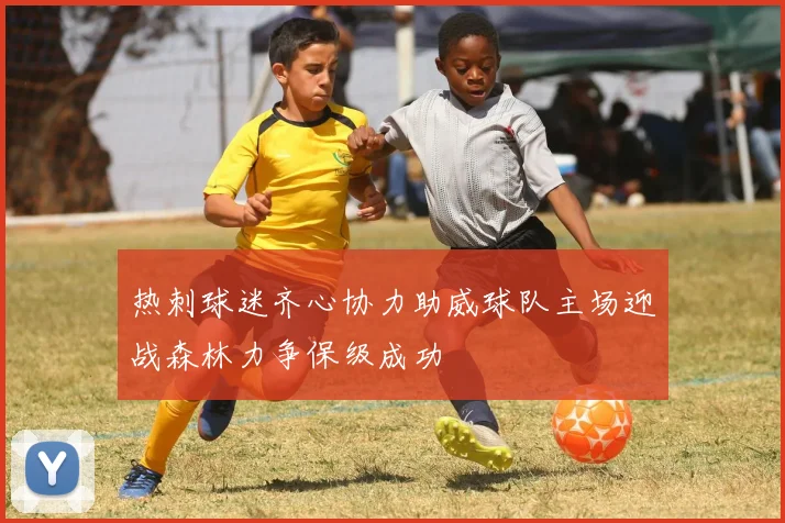 热刺球迷齐心协力助威球队主场迎战森林力争保级成功