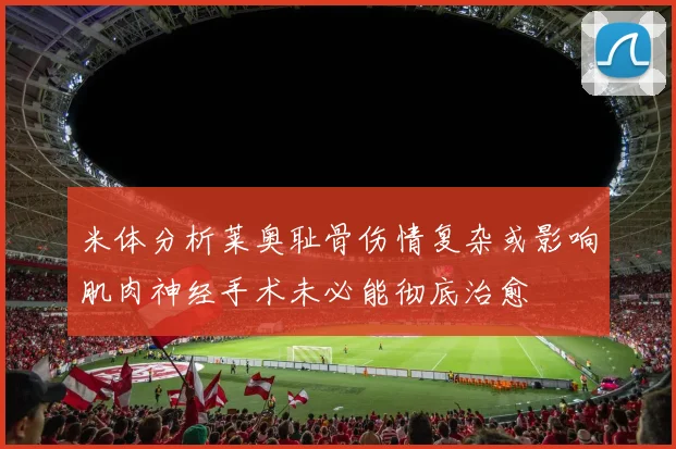 米体分析莱奥耻骨伤情复杂或影响肌肉神经手术未必能彻底治愈