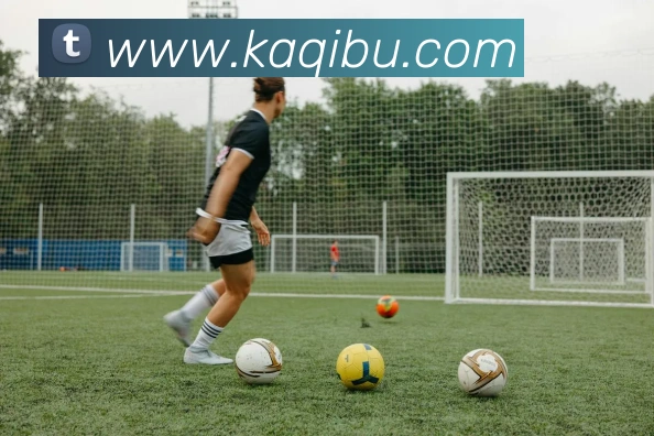 九游体育app手机版入口发展历程